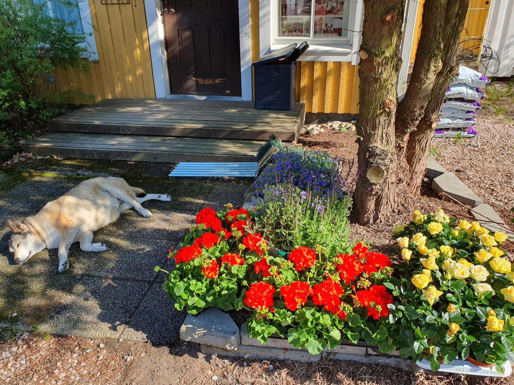 Siirilaen Tila Guest House Seinäjoki Exterior photo